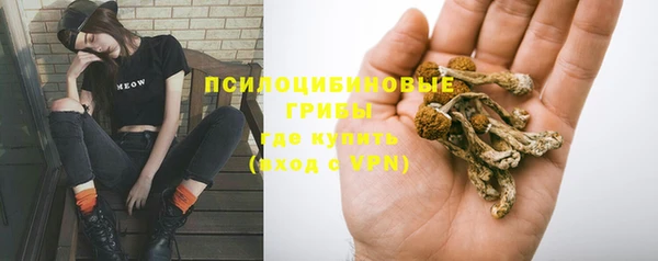 ECSTASY Армянск