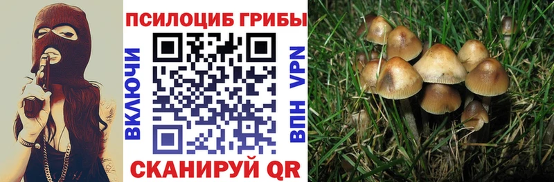 shop Telegram Сальск Галлюциногенные грибы мухоморы