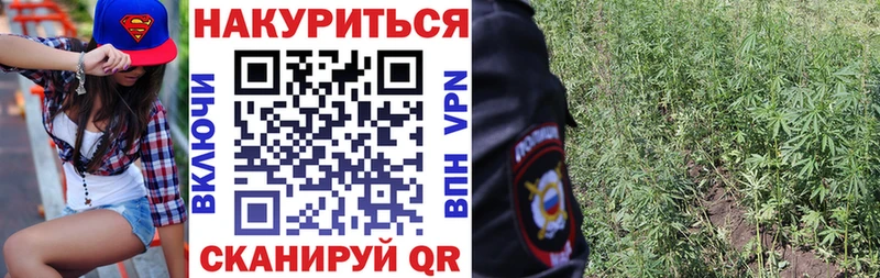 mega рабочий сайт  Сальск  Каннабис план 